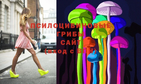молекула духа Алексеевка